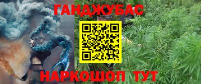 гашик Бузулук