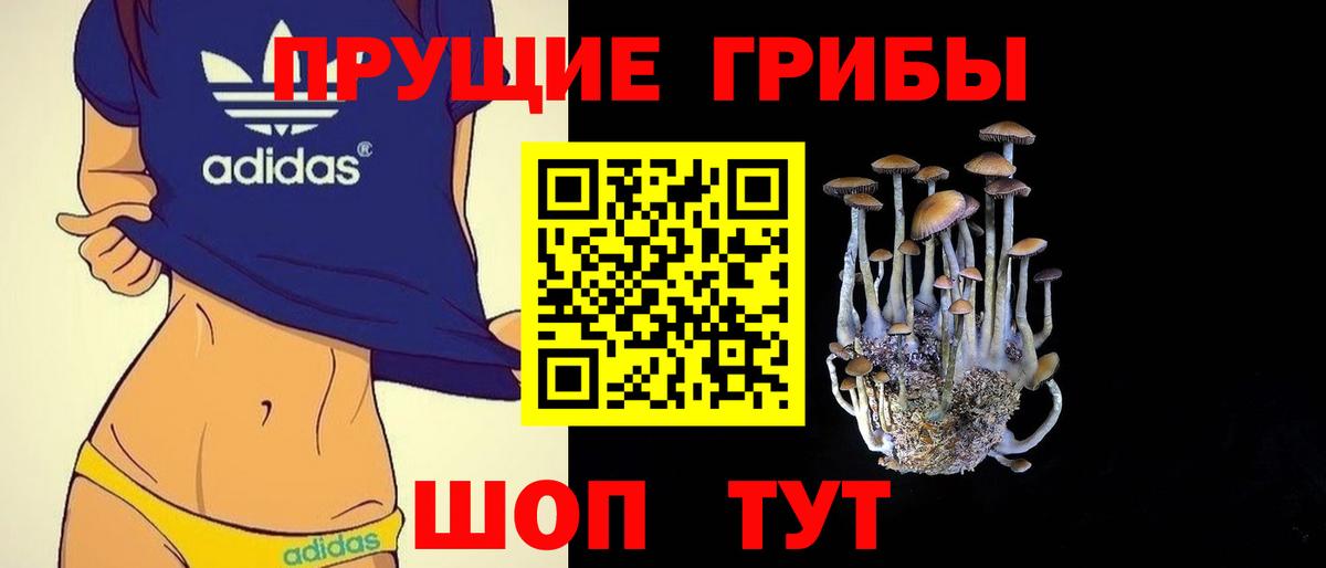 Галлюциногенные грибы GOLDEN TEACHER Троицк