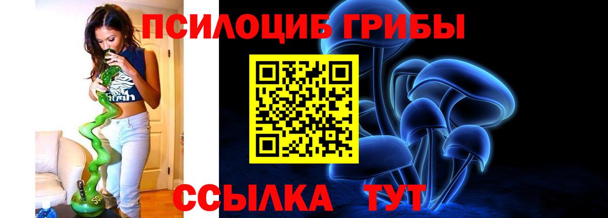 Псилоцибиновые грибы мицелий  Вход с VPN  закладки  Галлюциногенные грибы GOLDEN TEACHER  Троицк 